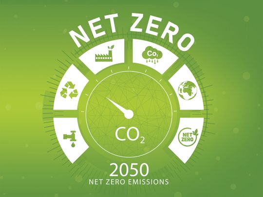 Net Zero image